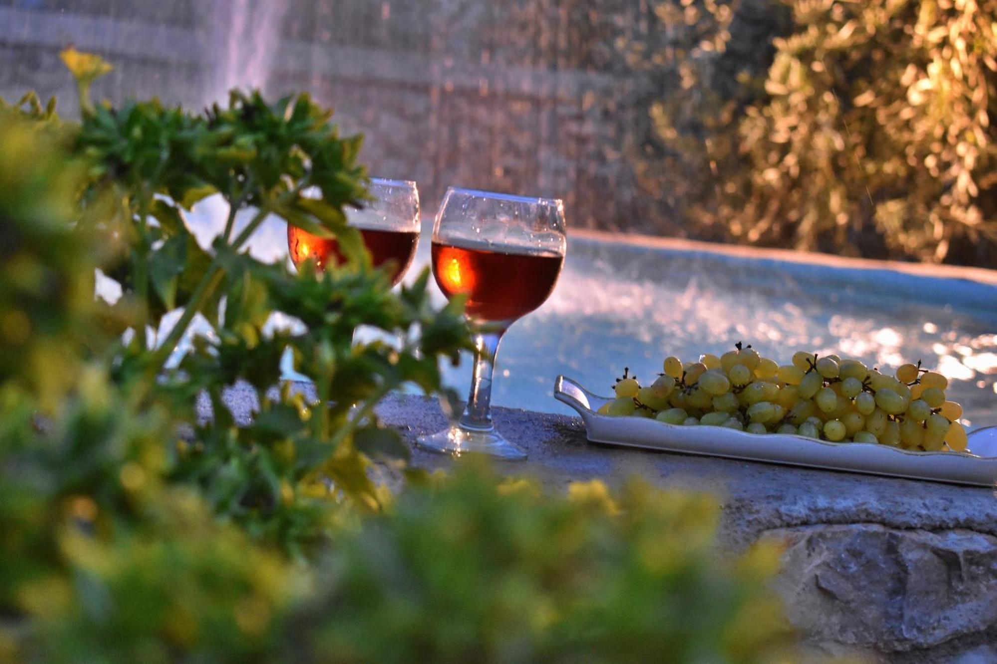 Villa In The Olive Trees Galaxidi Luaran gambar