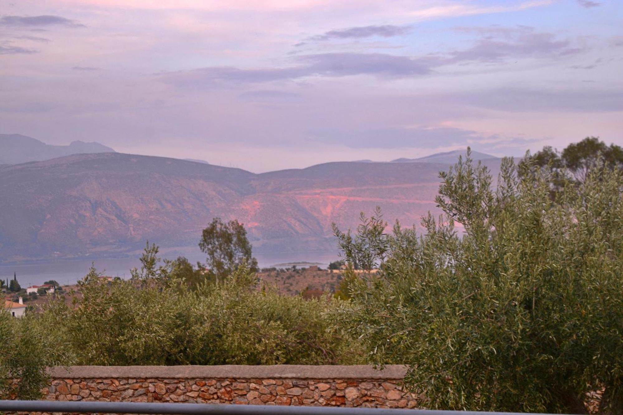 Villa In The Olive Trees Galaxidi Bilik gambar